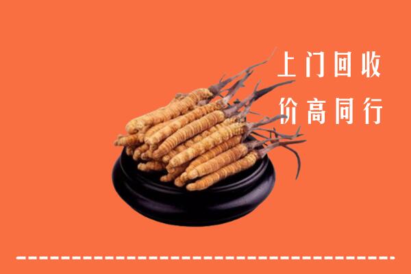 高价求购：黄岛区回收散虫草