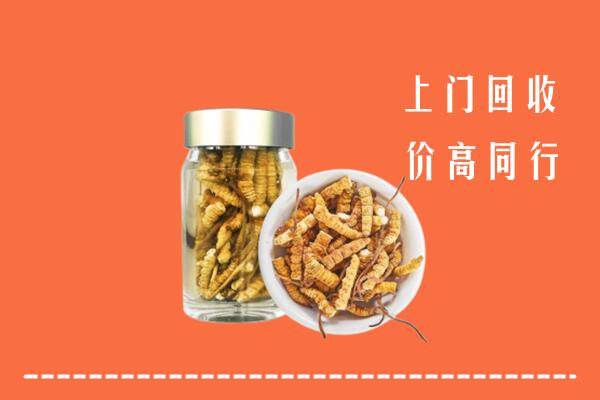 黄岛区回收冬虫夏草