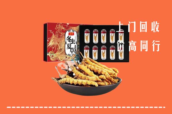 黄岛区回收虫草